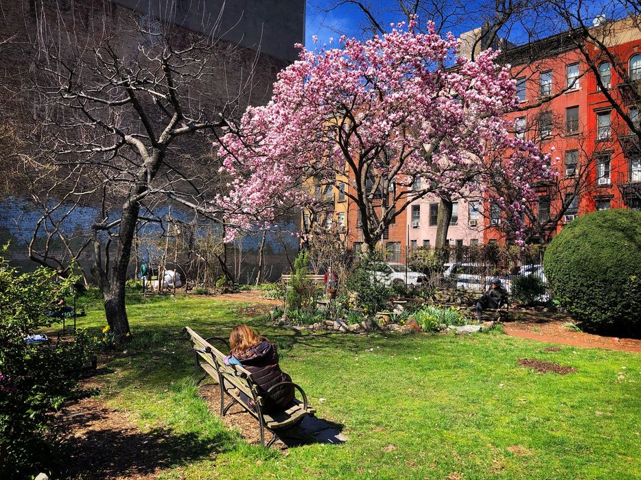 Clinton Community Garden