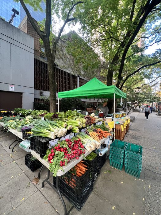 Stony Hill Farm's Market (Hell's Kitchen Farmers' Market)