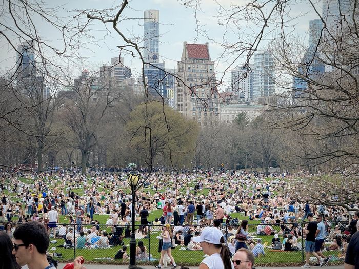 Central Park